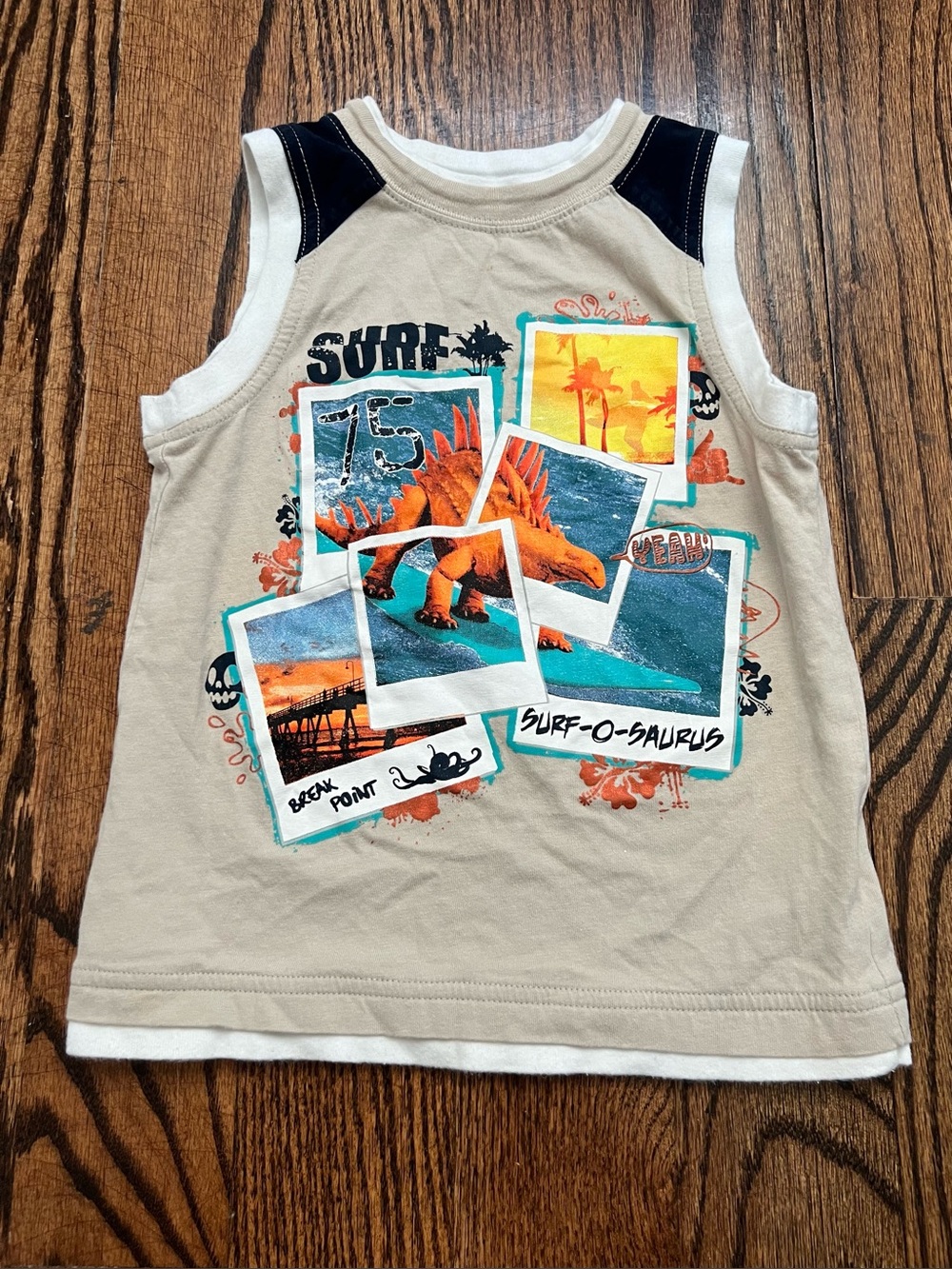 Toughskins  boy dinosaurs tank top
